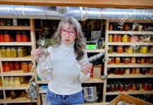 Mason Jars in the Freezer | Can They Handle the Cold?