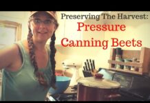 Preserving the Harvest: Pressure Canning Beets!
