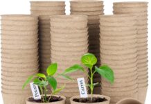 Spring Is the Time to Get Your Garden Ready: Prepare the Soil and Plant Those Seeds