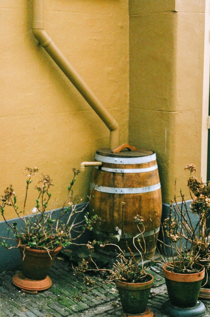 Learn how to build a rainwater harvesting system at home. This easy DIY guide shows you how to collect and store rainwater from your roof step-by-step.