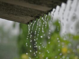 rainwater collection image