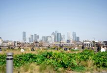 The Micro Homesteading Trend: 10 Steps to Start Your Own Backyard Farm city garden