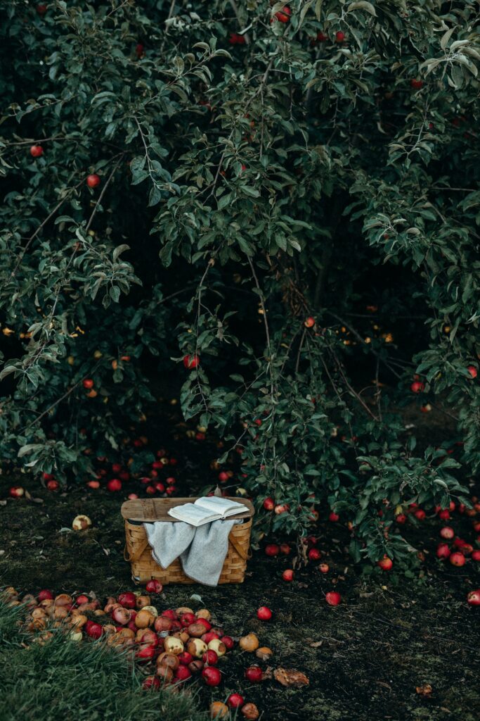 Getting your garden ready for Fall