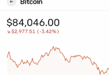 Bitcoin – My Story — I Was Early, I Sold, I Was Wrong bitcoin down