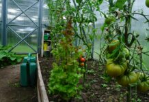 Smart Sustainable Living: How to Stay Prepared Without Going Off the Grid sustainable living