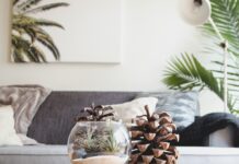 Sustainable Home Trends 2025: What’s Hot & What You Can Do Today Sustainable Home Trends